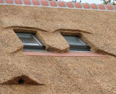 afwerking velux ramen