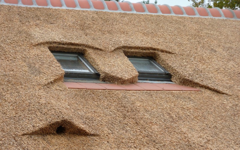 afwerking velux ramen