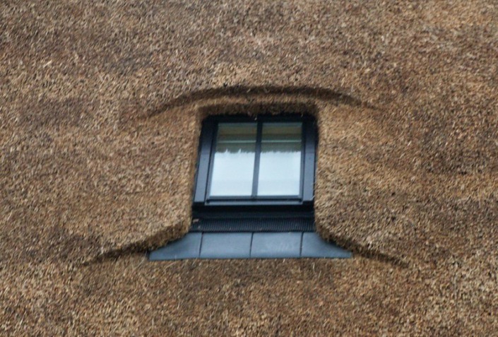 classico dak venster in rieten dak