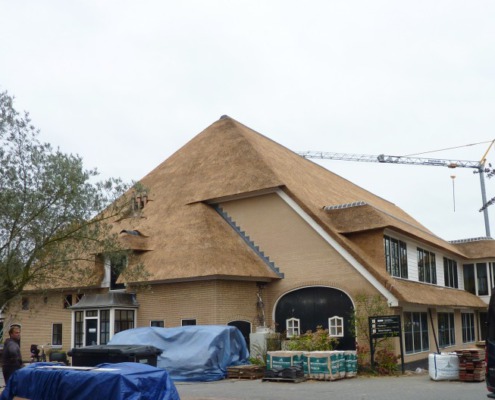 vernieuwd rieten dak