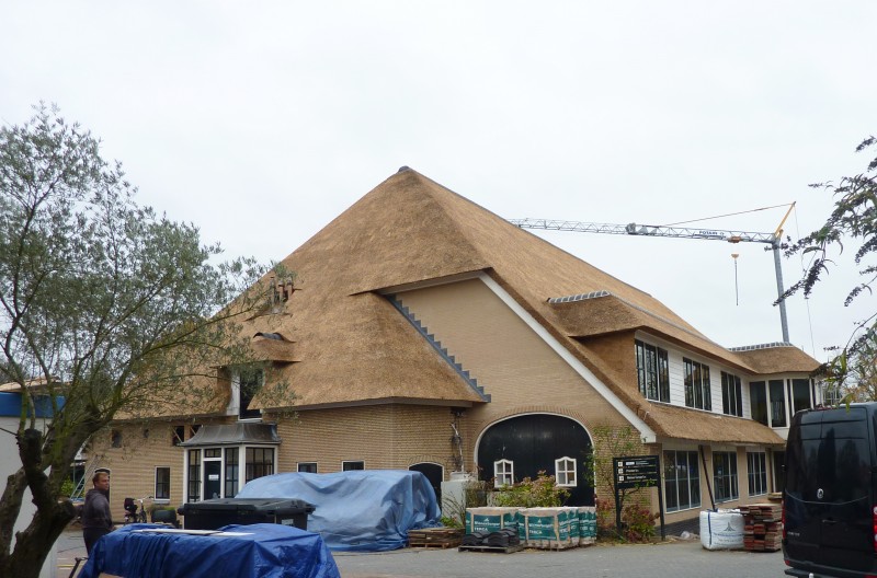 vernieuwd rieten dak