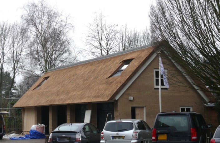 bijgebouw met riet