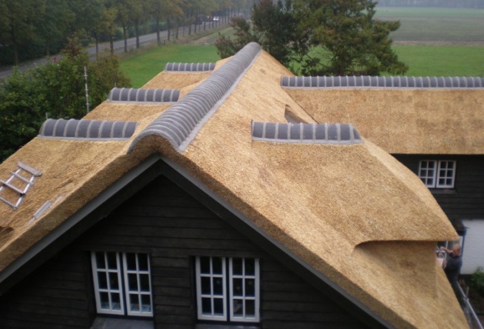 rieten dakkapellen