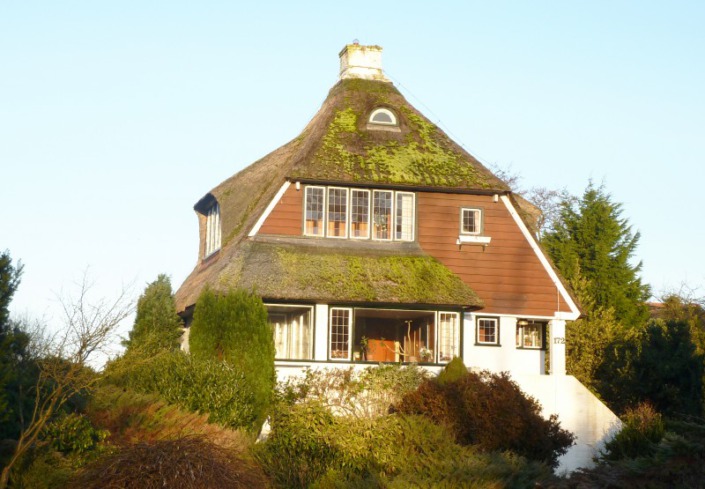 foto voor vernieuwen rieten dak Aardenhout