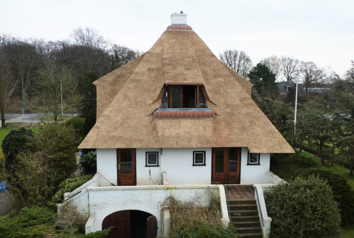vernieuwen rieten dak Aardenhout