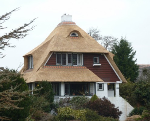 vernieuwen rieten dak op villa