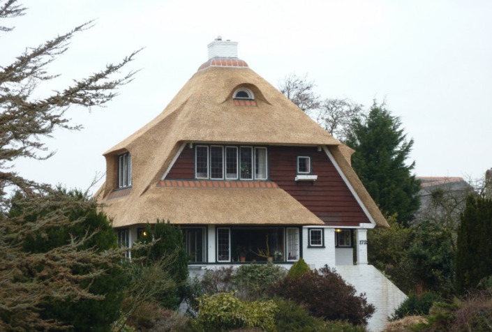 vernieuwen rieten dak op villa