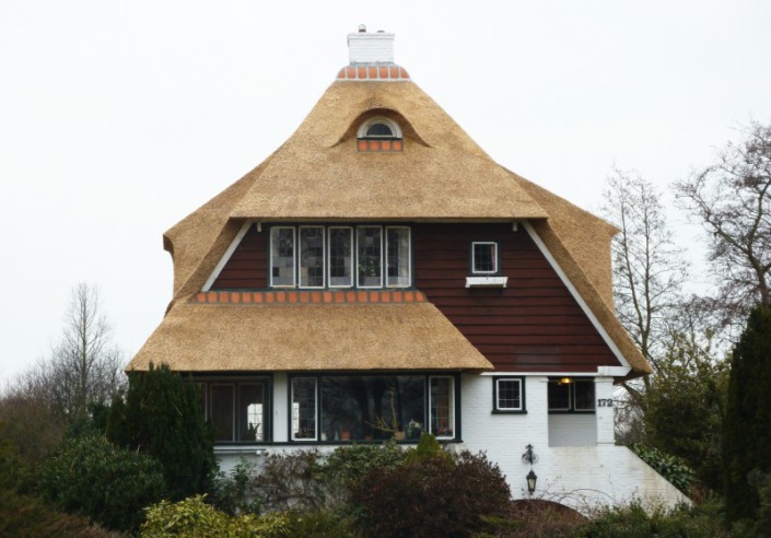 vernieuwen rieten dak