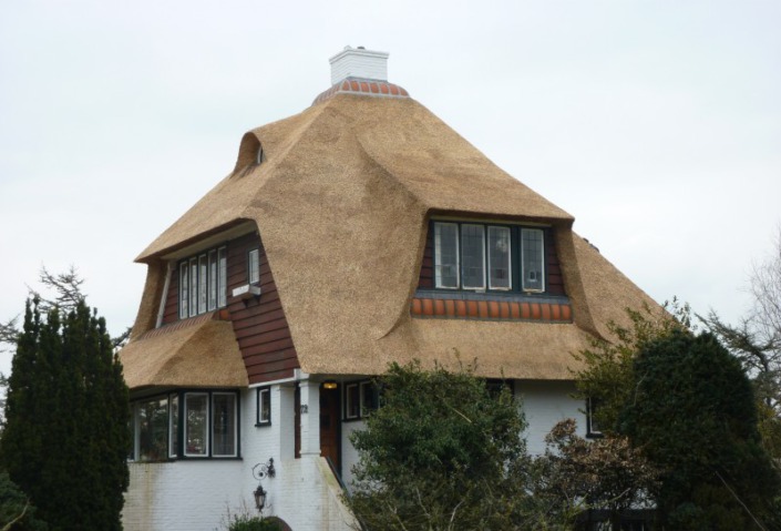 vernieuwen rieten dak