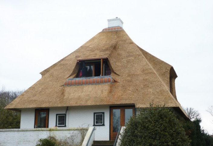 vernieuwen rieten dak