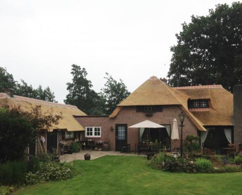 vervangen rietendak chinees riet