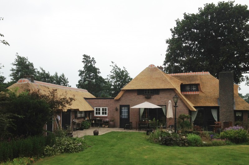 vervangen rietendak chinees riet