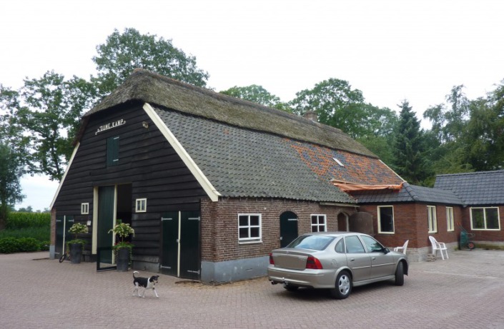 vernieuwen rieten dak