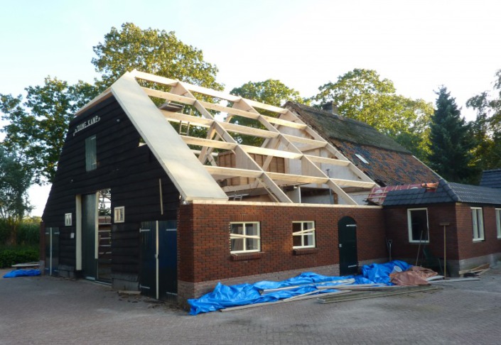 timmerwerkzaam heden rietendak