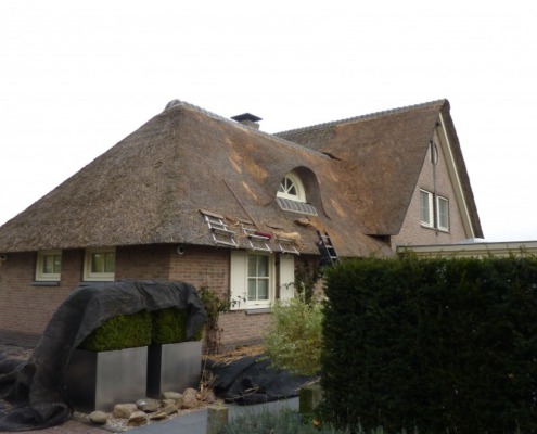 Reparatie rieten dak