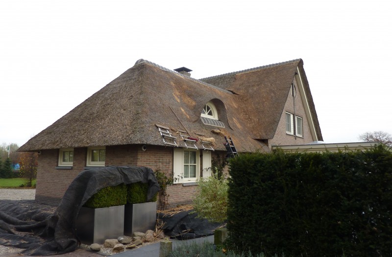 Reparatie rieten dak