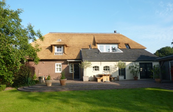 vernieuwd rieten dak