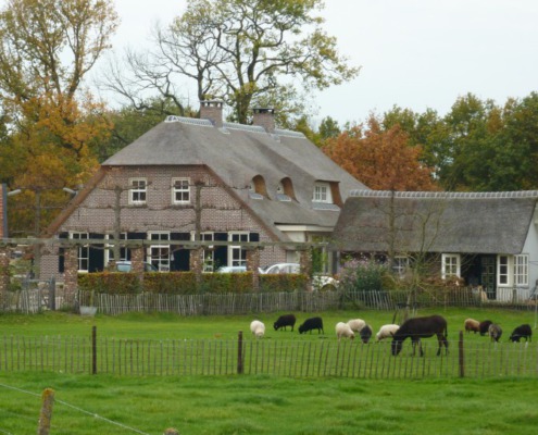 boerderij riet vervangen