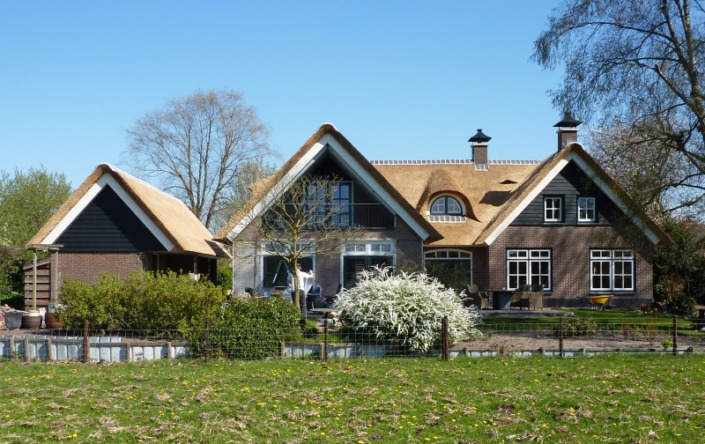 nieuw rieten dak
