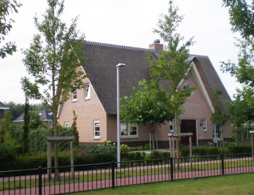 Nieuw rieten dak met chinees riet