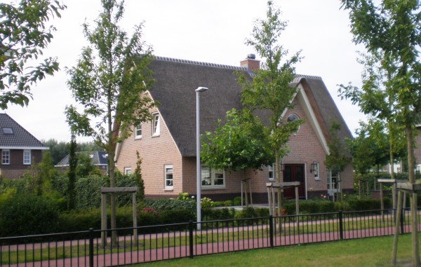 Nieuw rieten dak met chinees riet