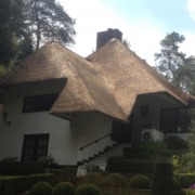 renoveren/ opstoppen/ verdrijven rieten dak