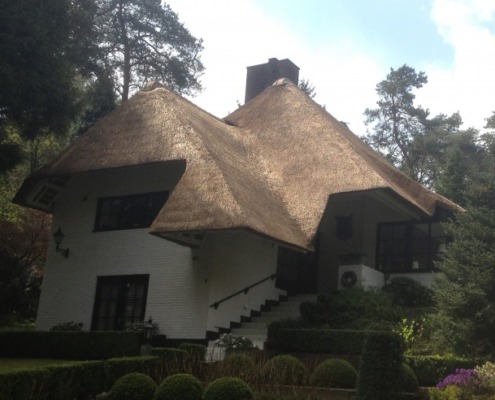 renoveren/ opstoppen/ verdrijven rieten dak