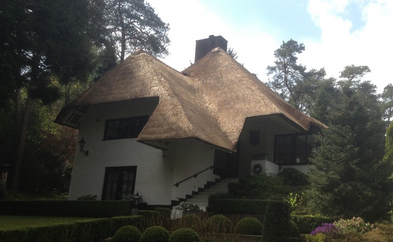 renoveren/ opstoppen/ verdrijven rieten dak