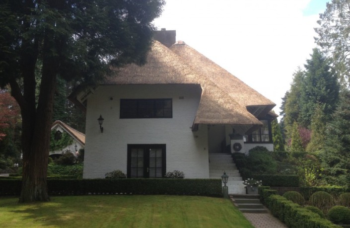 renoveren /verdrijven/opstoppen rieten dak