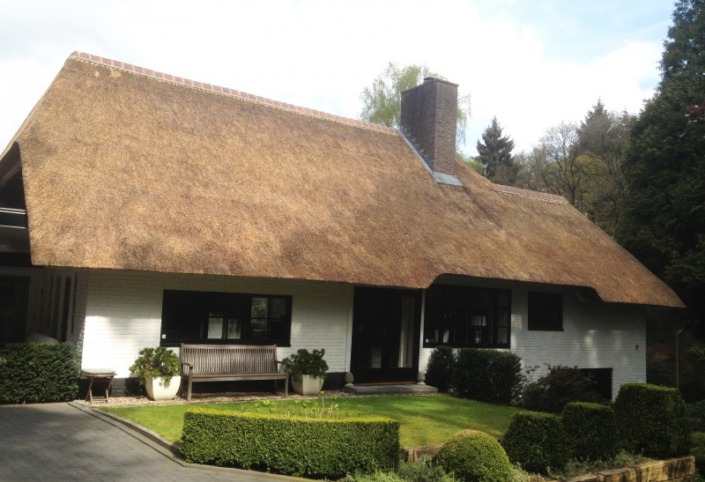 opstoppen/verdrijven rieten dak