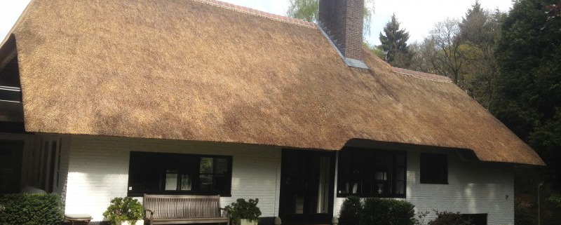 opstoppen/verdrijven rieten dak