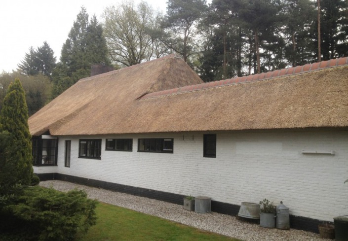 verdrijven /opstoppen rieten dak