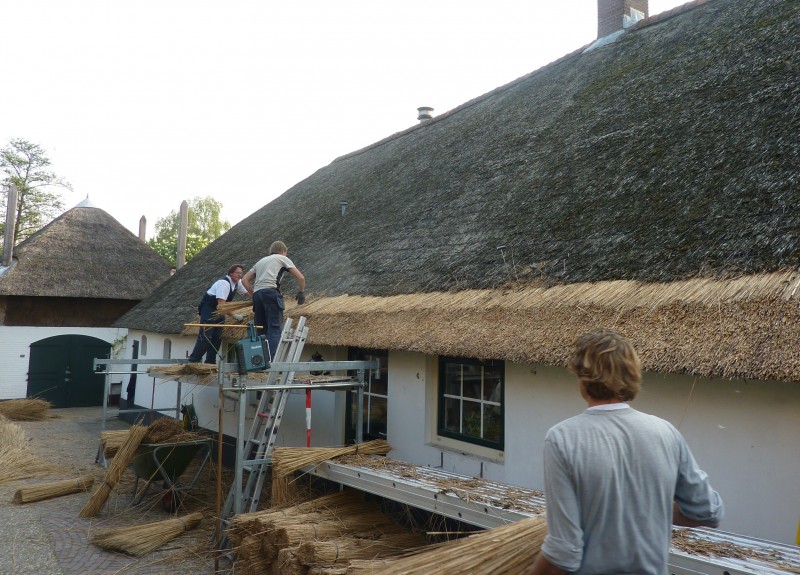 verdrijven rieten dak