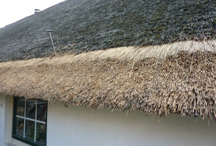 verdrijven rieten dak van een prachtige woonboerderij