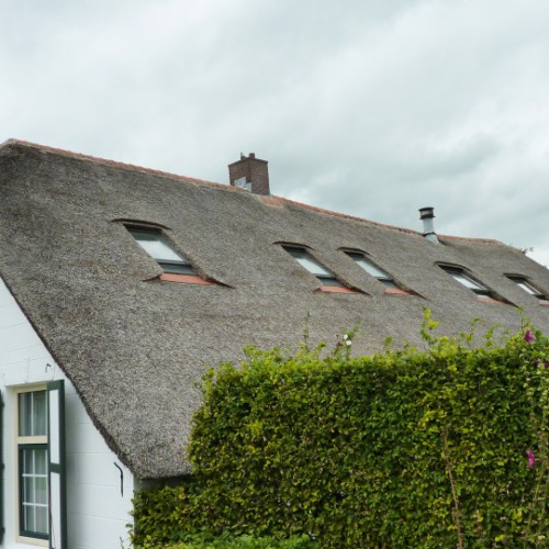 velux dak vensters in rieten dak verwerkt
