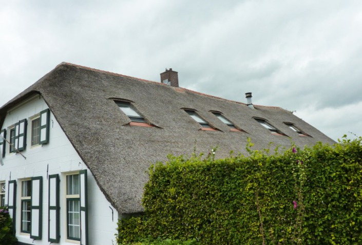 velux dak vensters in rieten dak verwerkt