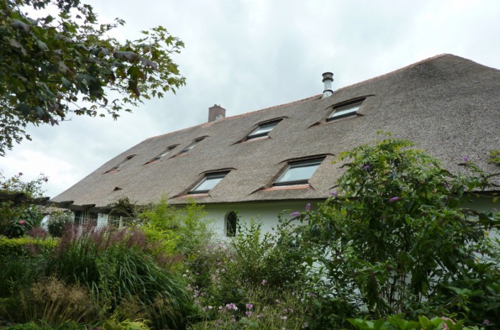 velux dakvensters in rieten dak