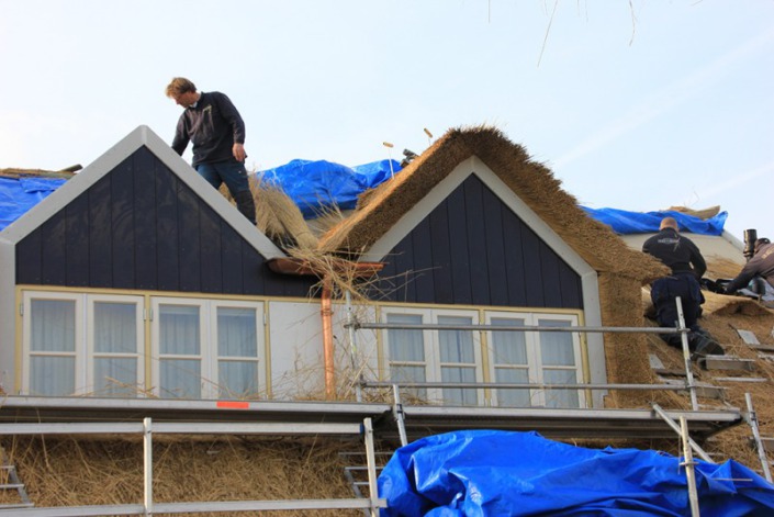 dakkapellen met riet bedekt