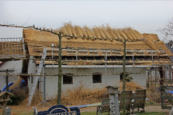 schuur met riet bedekt