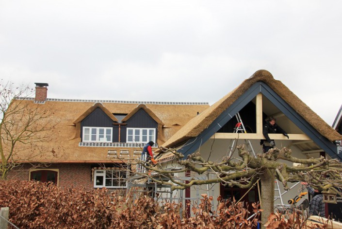 riet en timmerwerkzaam heden