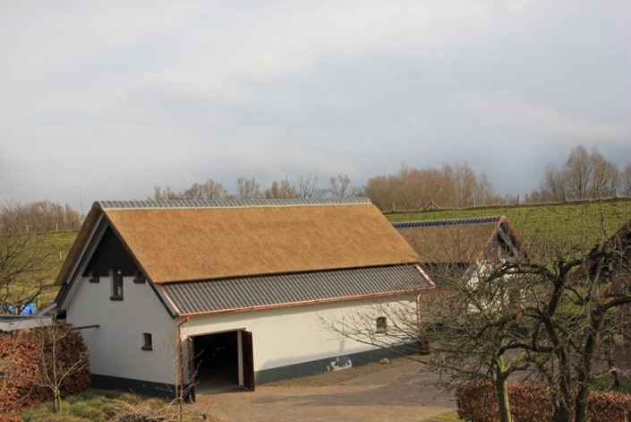 riet gedekte bijgebouw