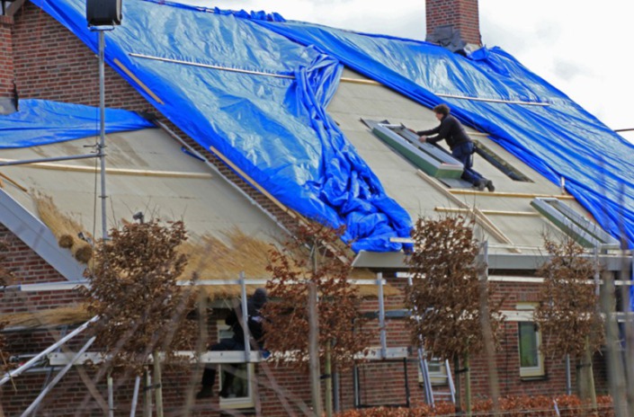 timmer werkzaam heden rietendak
