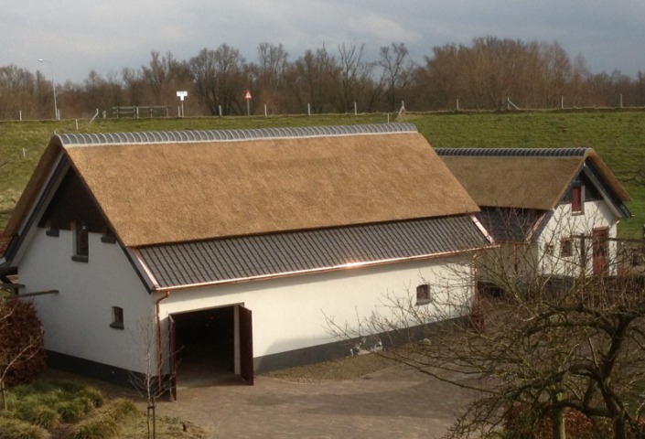 bijgebouwen rieten dak