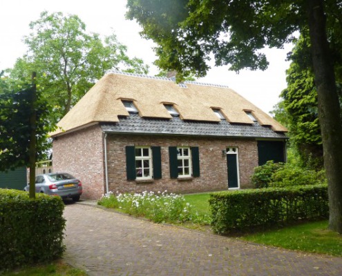 rieten dak met velux dakvensters