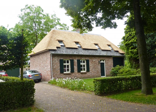 rieten dak met velux dakvensters