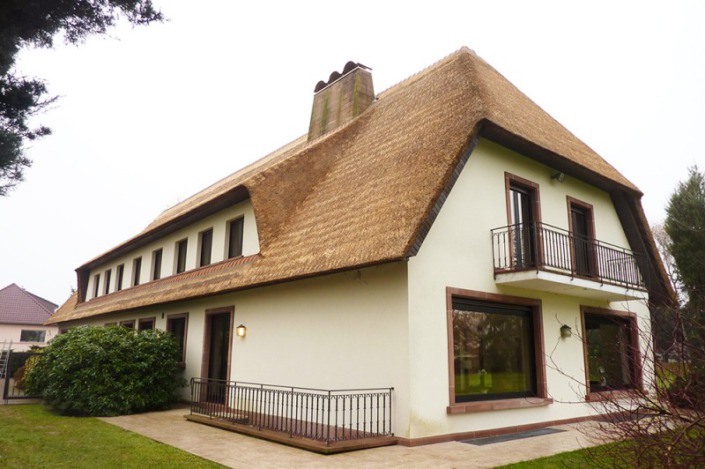 resultaat verdrijven rieten dak