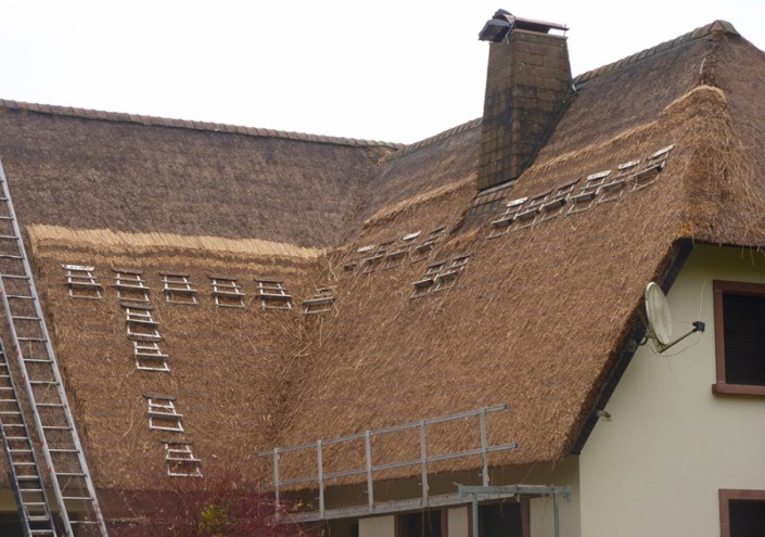 verdrijven opkloppen rieten dak