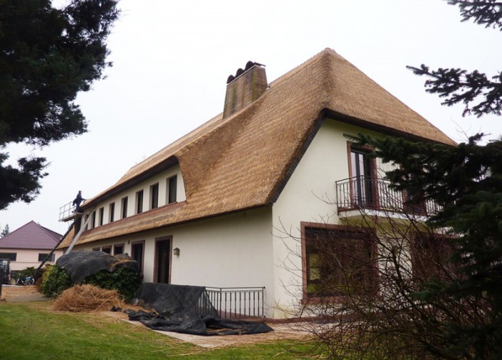 verdrijven totale renovatie rieten dak