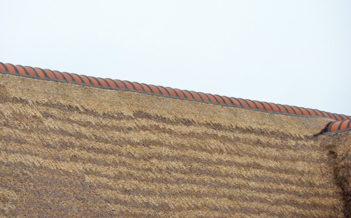 verdrijven rieten dak