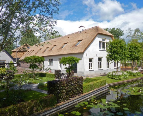 nieuw rietendak chinees riet